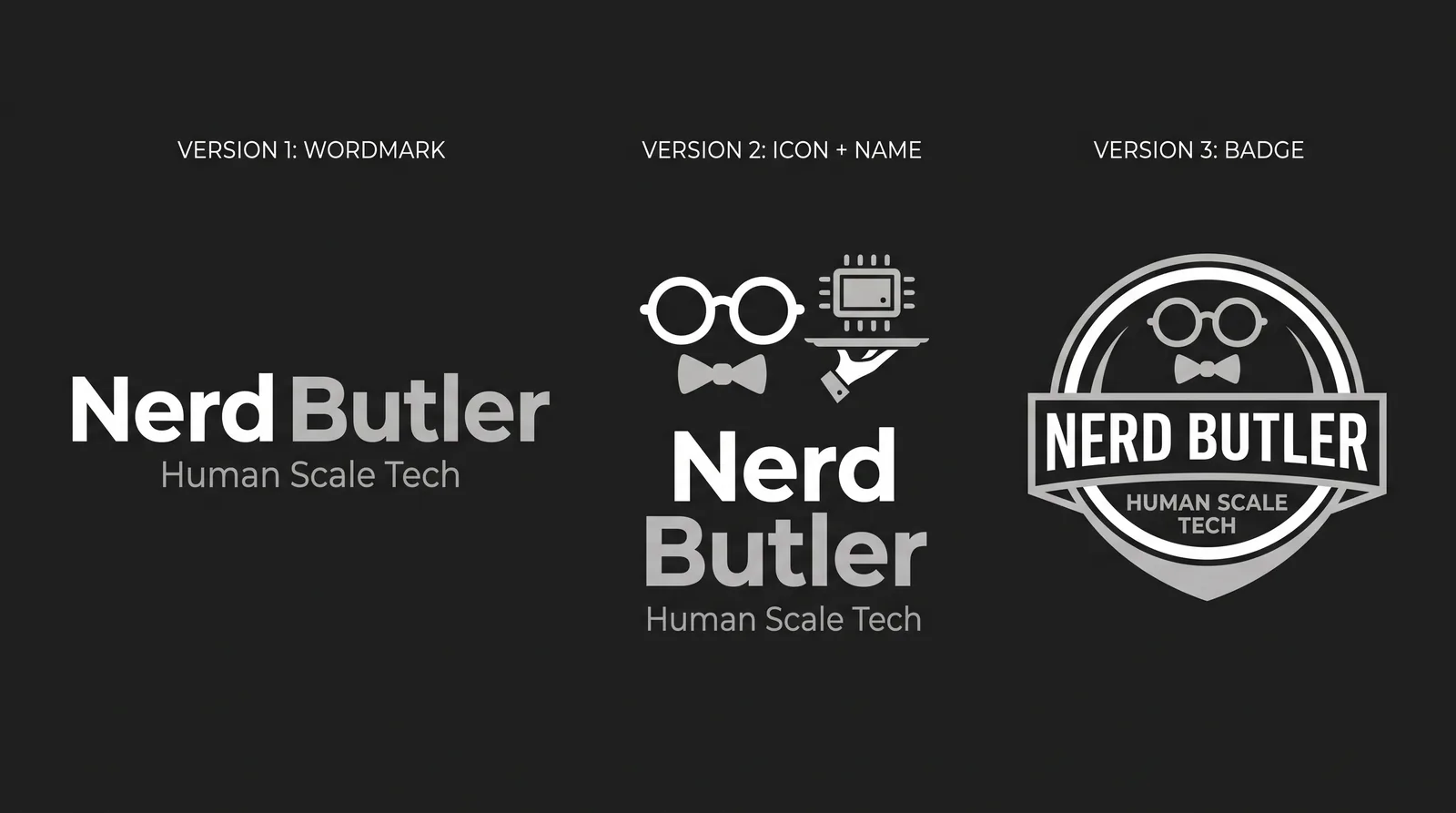Three logo versions for Nerd Butler from Logan's prompt: a wordmark, an icon with the name, and a badge.